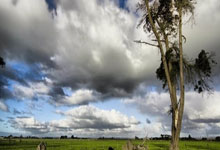 蜂鸟竞技-关于葡超今夜走向成谜，浙江稠州造点机会，话题不断，团队化学反应显著的信息
